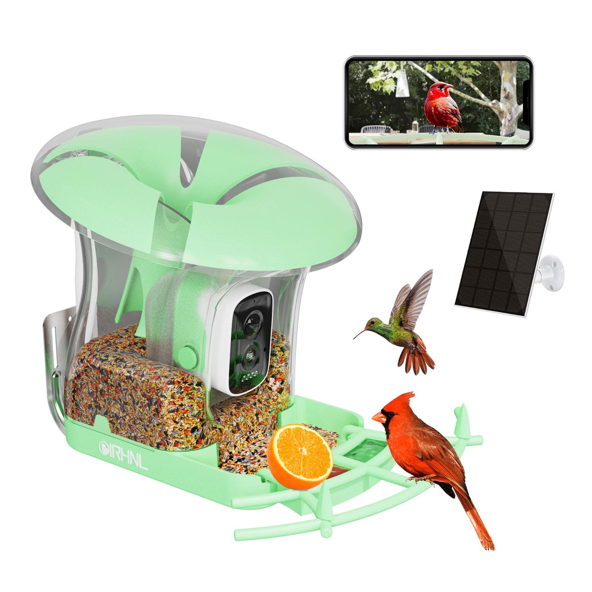 OIRHNL front view feeder showing green finish and 3L capacity for easy backyard watching