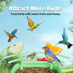 OIRHNL water bowl and fruit pin close-up attracting diverse birds and offering hydration