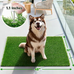 Oiyeefo close-up of turf fibers revealing soft texture for comfortable paws