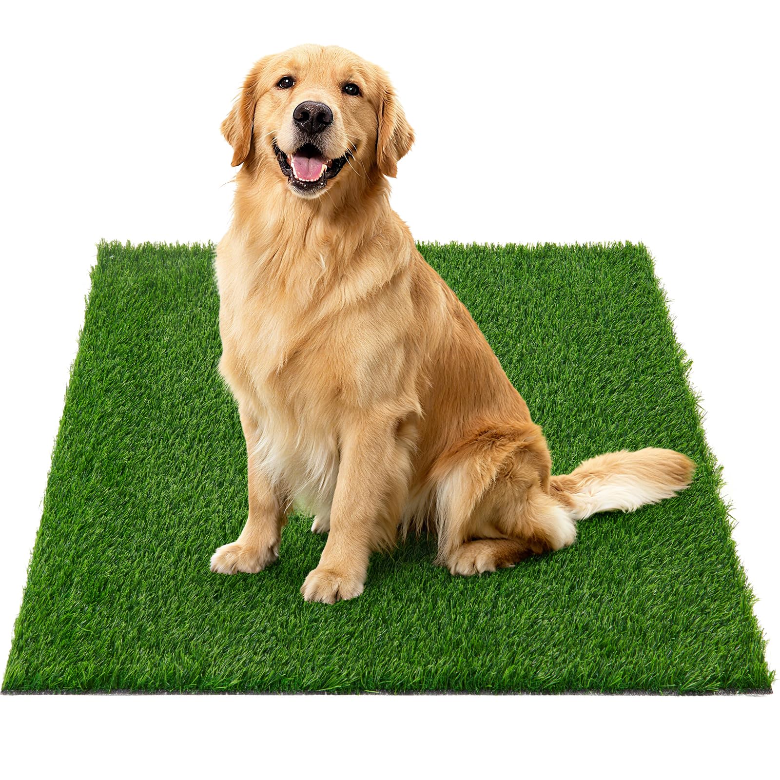 Oiyeefo front view of grass pad showing neat edges and realistic lawn benefit