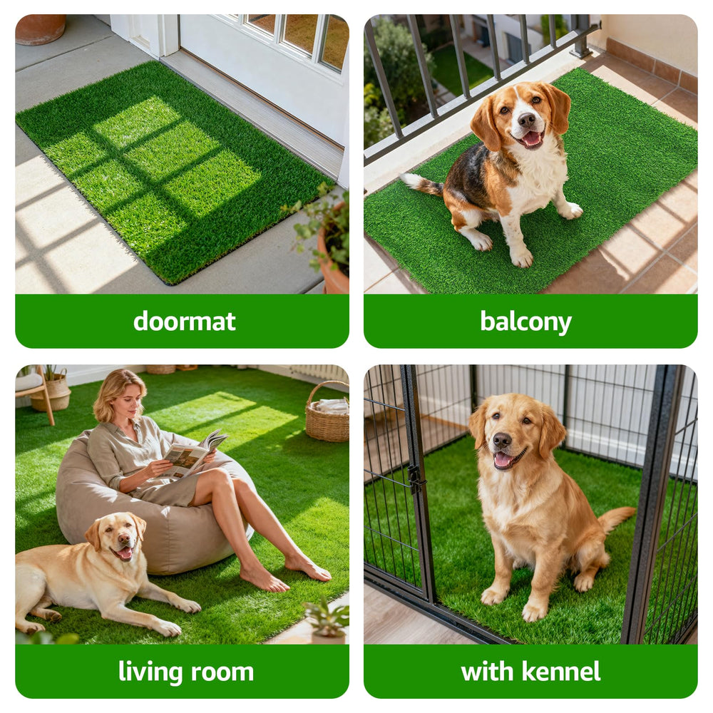 Oiyeefo lifestyle scene with pet and owner showing natural look and comfort