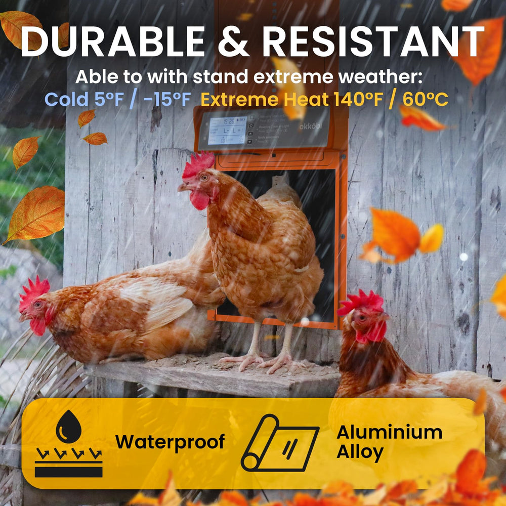 OKKÖBI door installed in a chicken coop demonstrating predator protection benefit