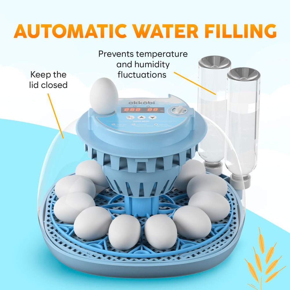 OKKÖBI egg tray close-up demonstrating easy loading and secure holding