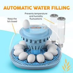 OKKÖBI egg tray close-up demonstrating easy loading and secure holding