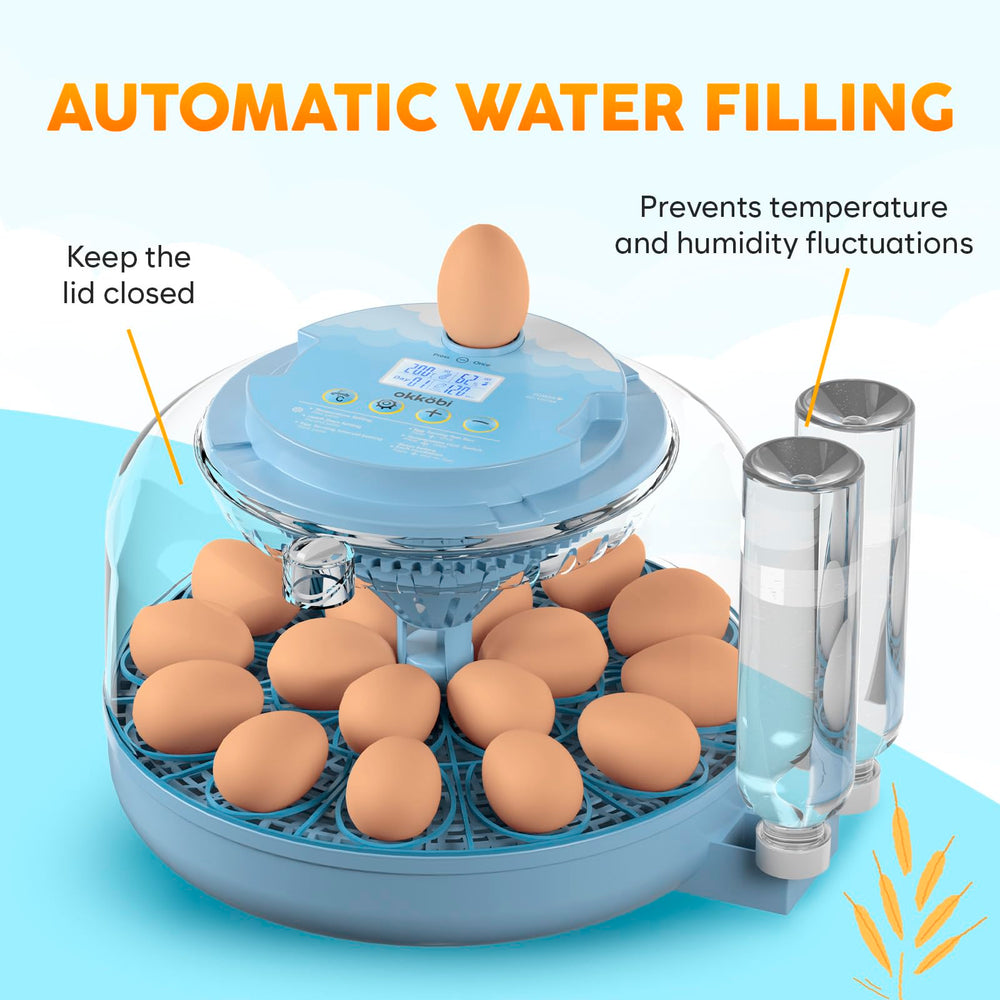 OKKÖBI interchangeable trays for small and large eggs, supports multiple species