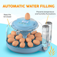 OKKÖBI interchangeable trays for small and large eggs, supports multiple species