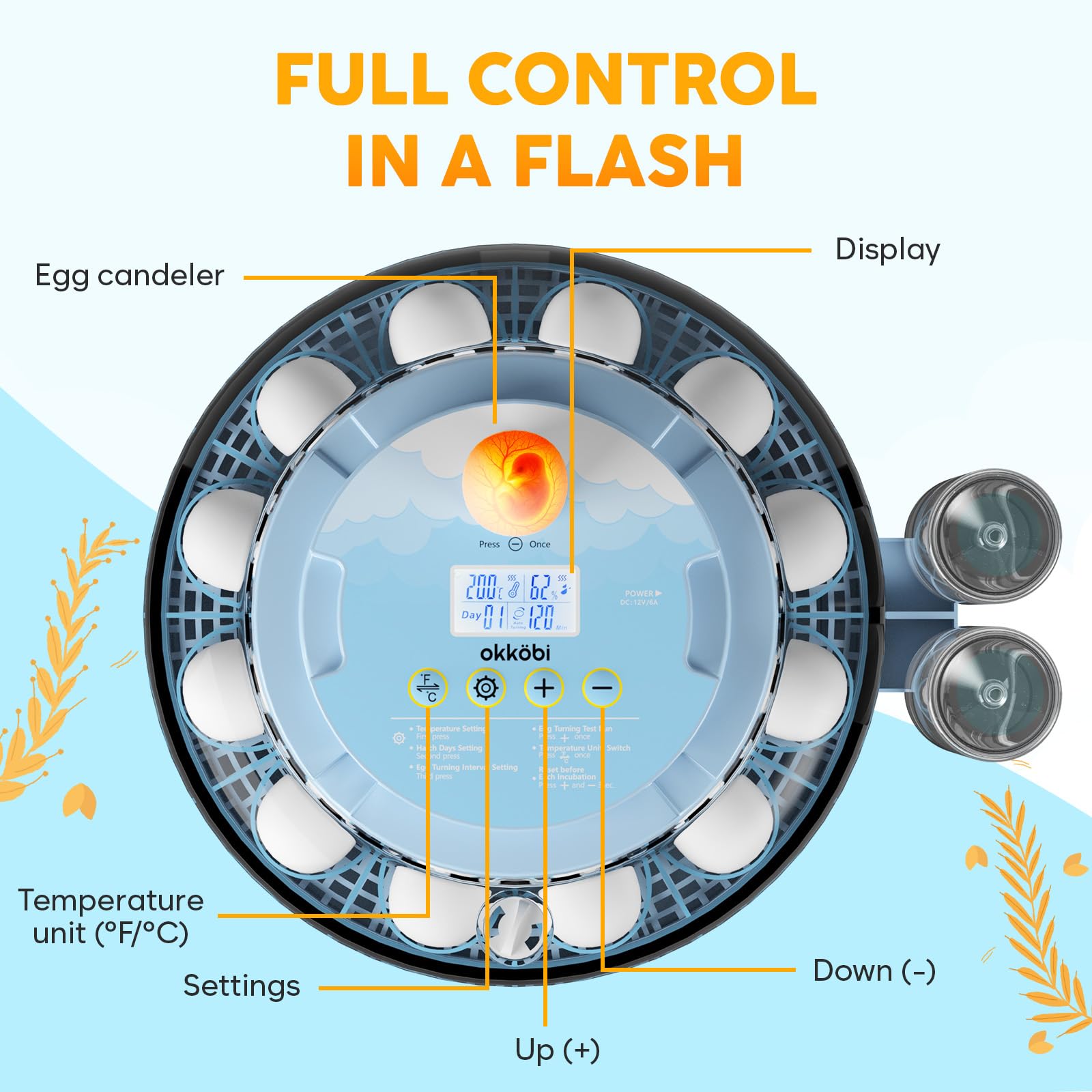 OKKÖBI clear dome 360° view displaying eggs inside, improves visual observation