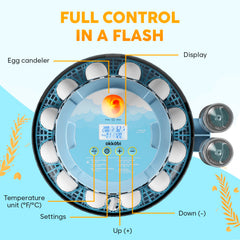 OKKÖBI clear dome 360° view displaying eggs inside, improves visual observation