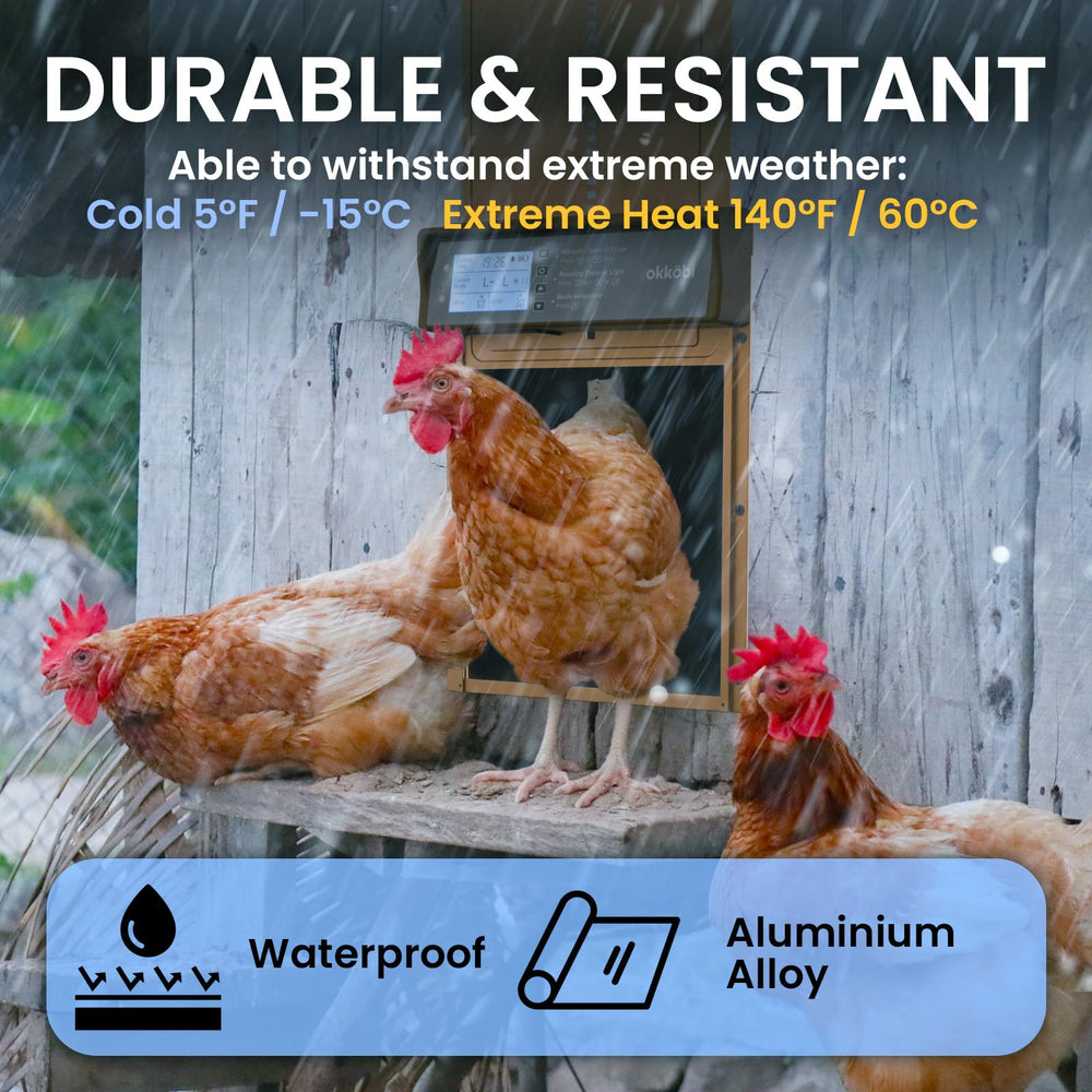 OKKÖBI installed in coop lifestyle scene showing convenience and weatherproofing