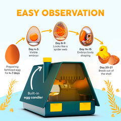 OKKÖBI M10 LED display and controls showing temperature and humidity readouts for precision