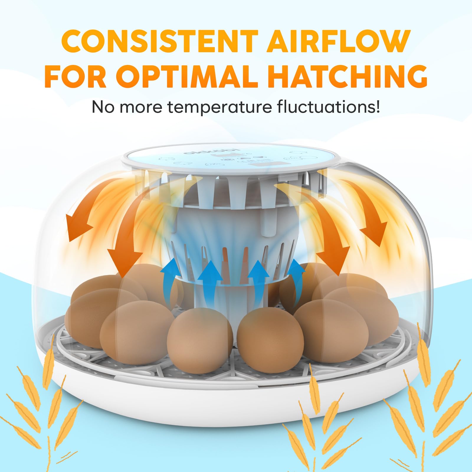 OKKÖBI incubator in classroom setting aiding educational hatching