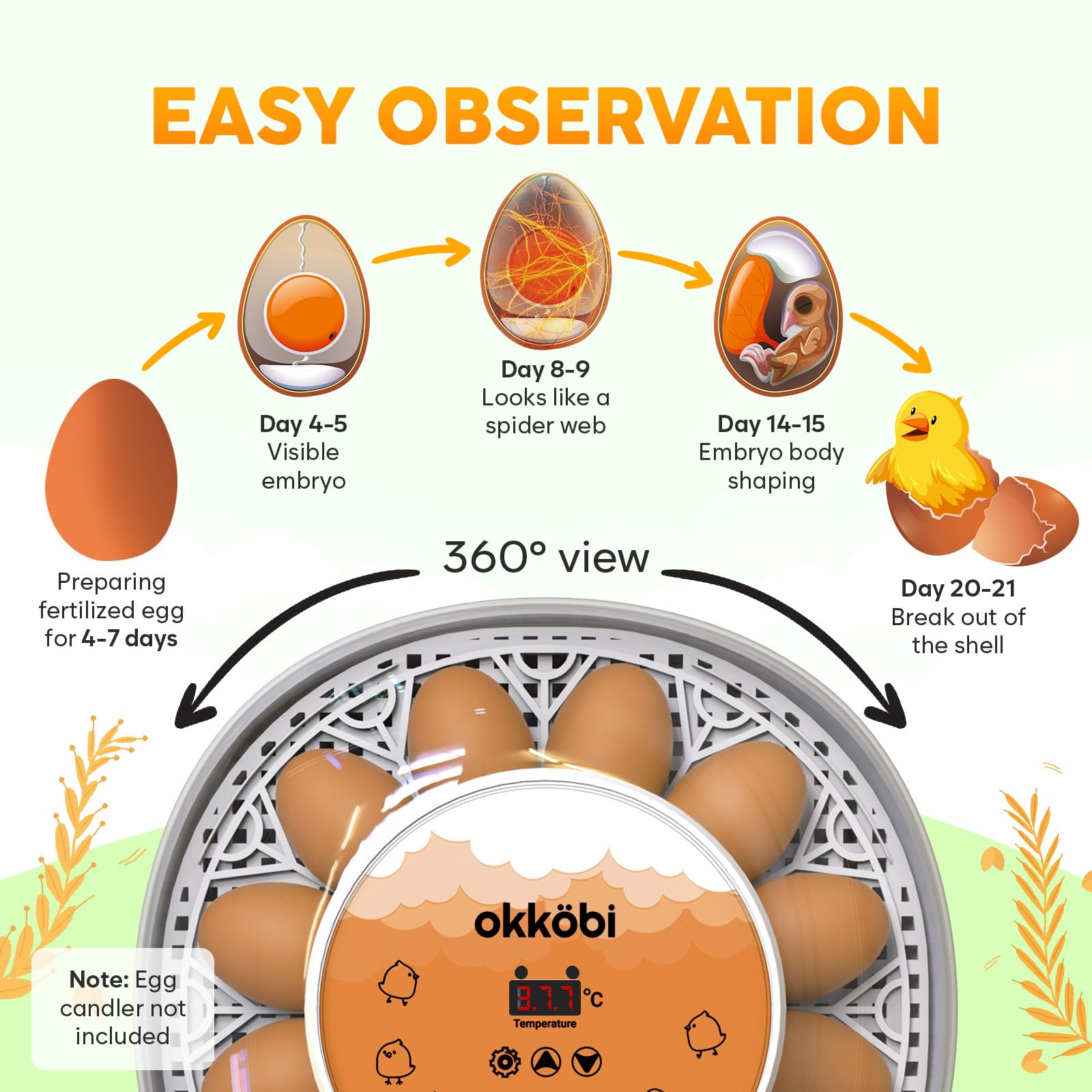 OKKÖBI removable egg tray close-up enabling simple cleaning benefit