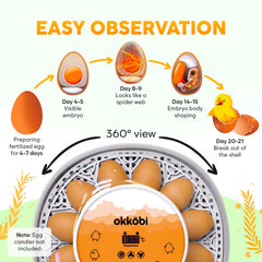 OKKÖBI removable egg tray close-up enabling simple cleaning benefit