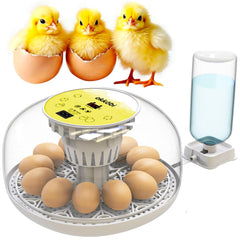 OKKÖBI front view showing compact incubator and clear lid, highlights convenience
