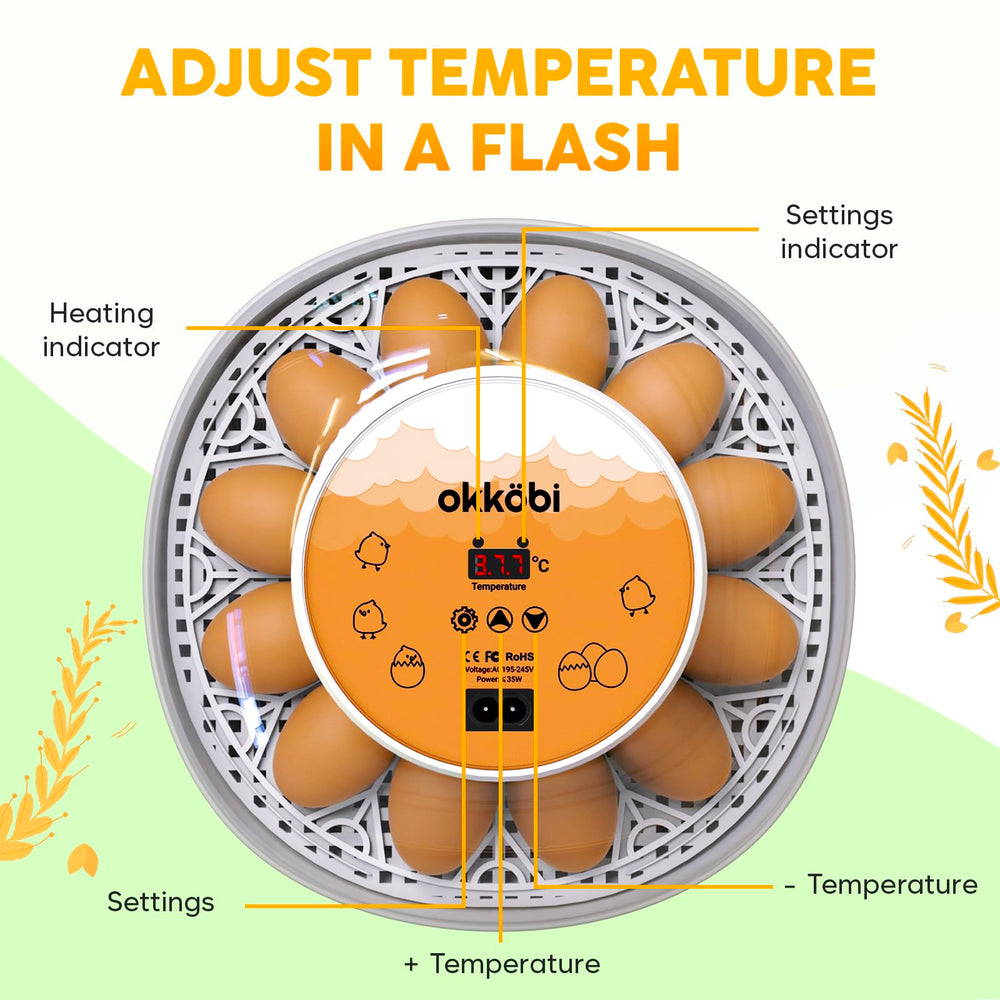 OKKÖBI transparent 360° lid letting users observe hatching progress