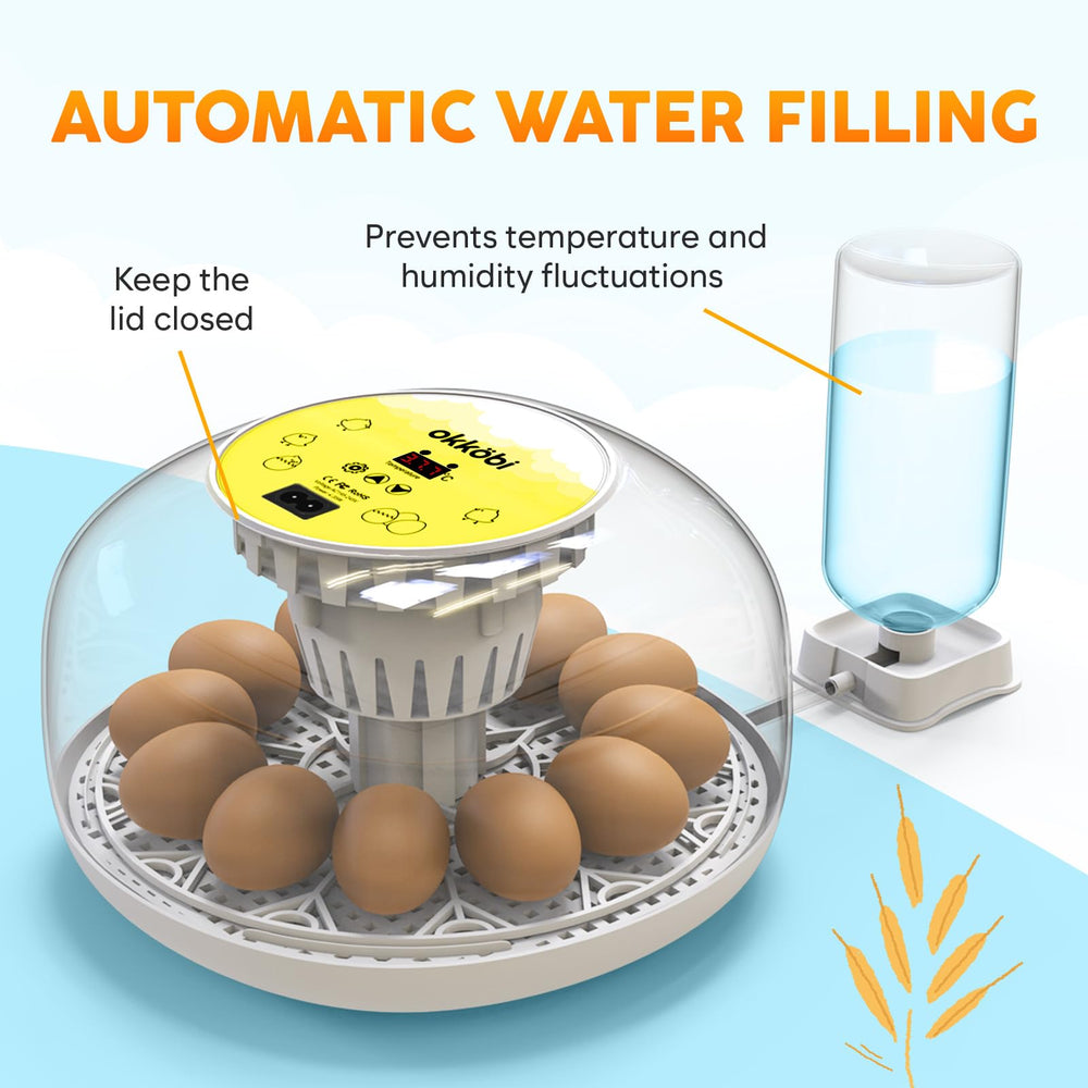 OKKÖBI transparent lid 360° view enabling uninterrupted observation benefit