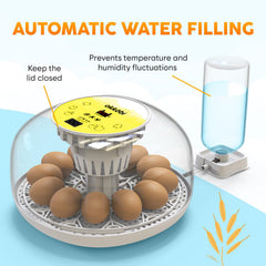 OKKÖBI transparent lid 360° view enabling uninterrupted observation benefit