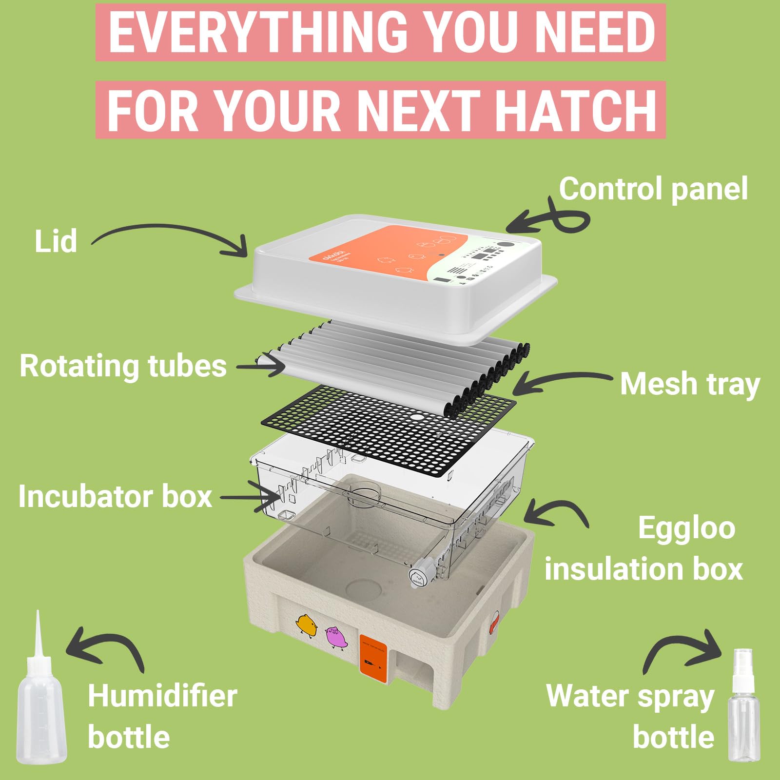 OKKÖBI built-in candler lit inside incubator to inspect embryos without opening lid