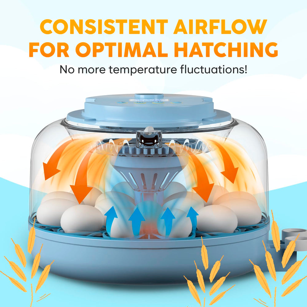 OKKÖBI incubator on counter for scale, ideal for home and classroom hatchings