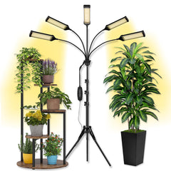 Oktrionce front view with tripod showing stable support and wide plant coverage