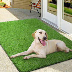 OLanto turf front view showing realistic green grass and neat edges, durable look
