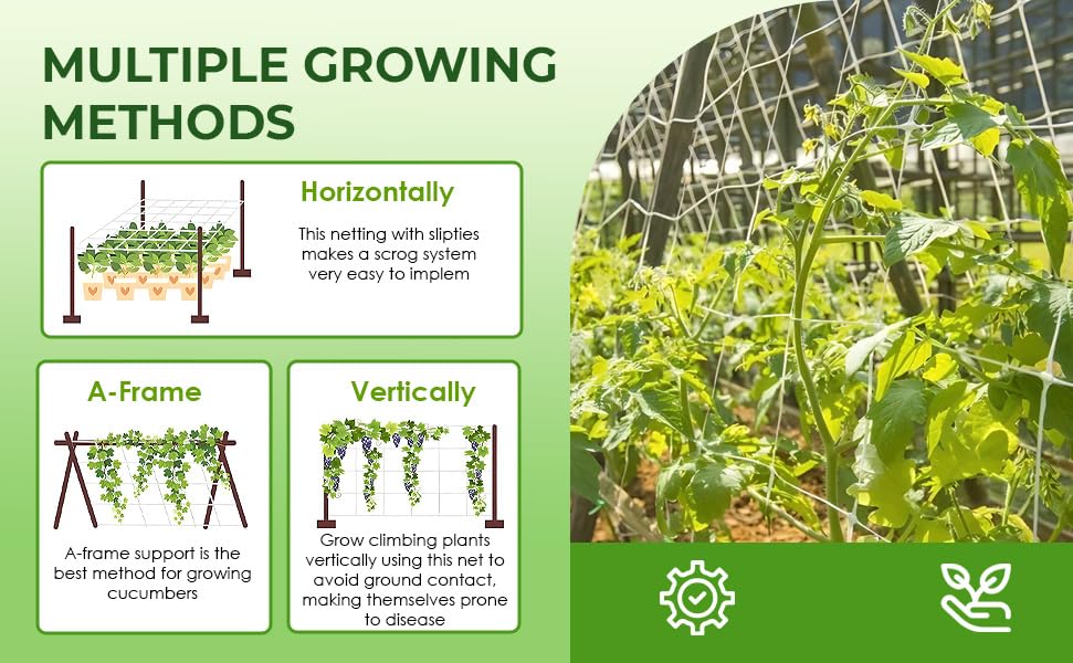 OldMacDonald trellis netting hung over orchard branches supporting fruit