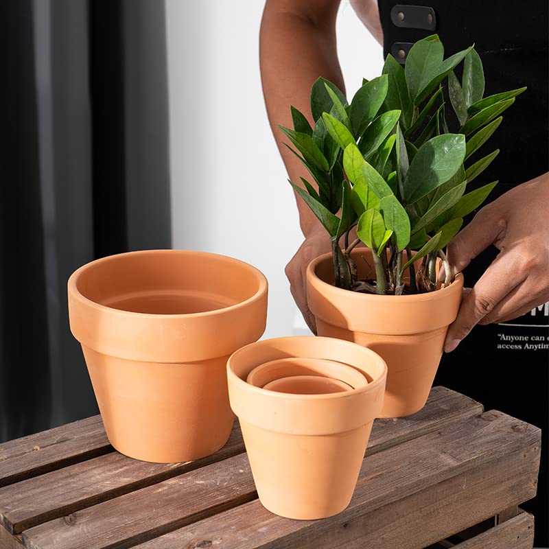 OLEEP grouped on a patio illustrating cohesive outdoor styling and plant display