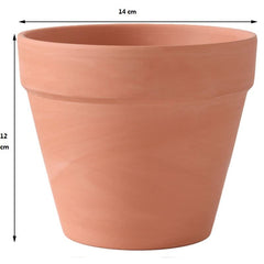 OLEEP close-up of pot texture highlighting breathable clay for better root health