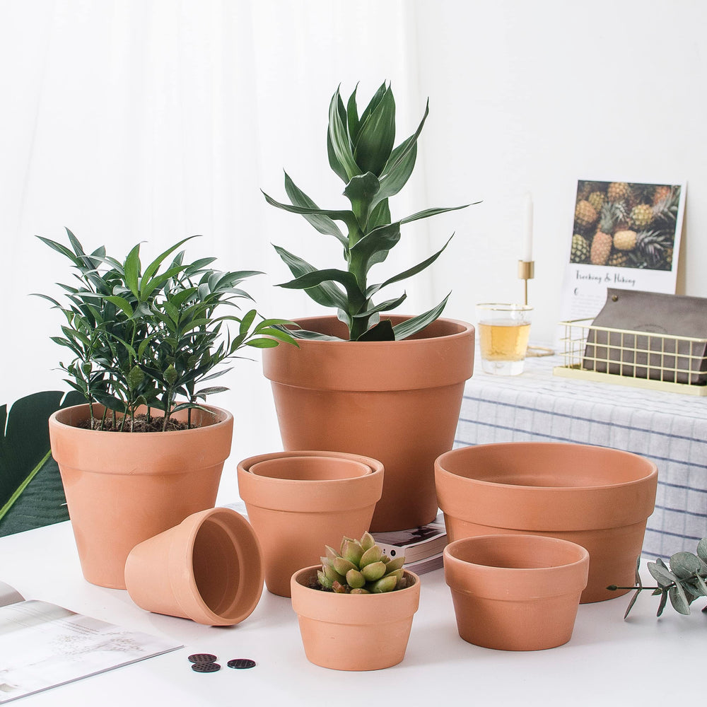 OLEEP pot next to a hand showing scale for easy plant selection and placement