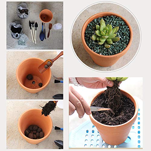 OLEEP pot with herb on a windowsill providing easy access and fresh kitchen herbs