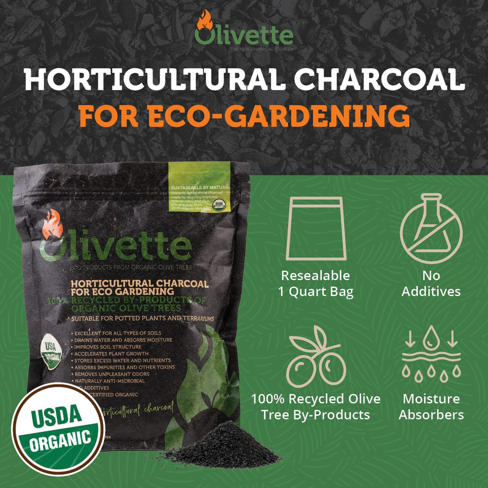Olivette close-up of biochar granules highlighting porous texture and moisture control