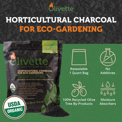 Olivette close-up of biochar granules highlighting porous texture and moisture control