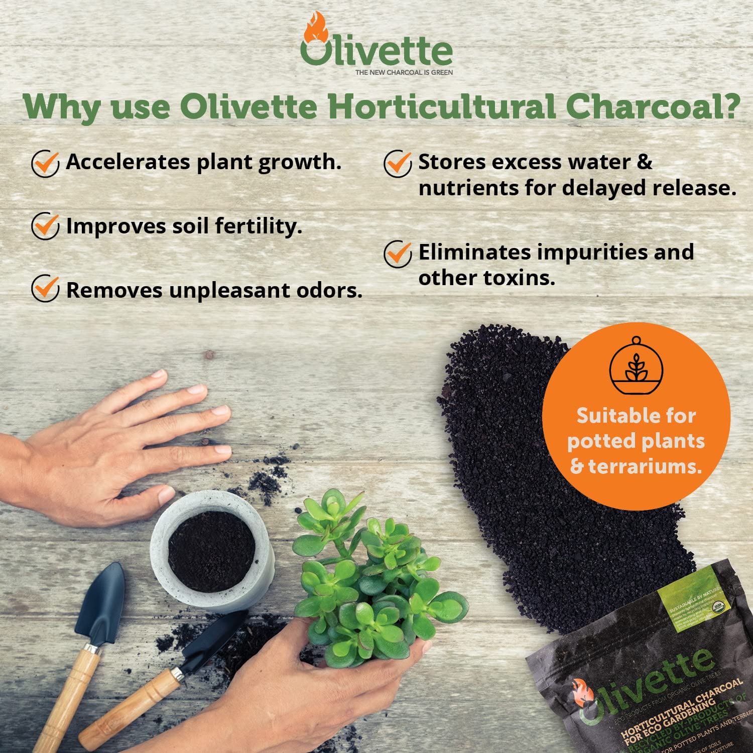 Olivette biochar used inside a terrarium demonstrating odor reduction benefit