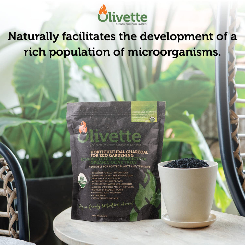 Olivette layered at pot base showing root protection and moisture balance