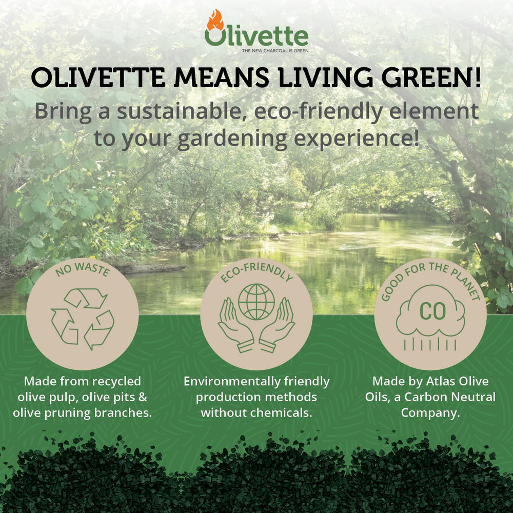 Olivette on a shelf with healthy houseplants showing long-term plant support