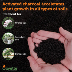 Olivette mixed into potting soil illustrating improved drainage and aeration