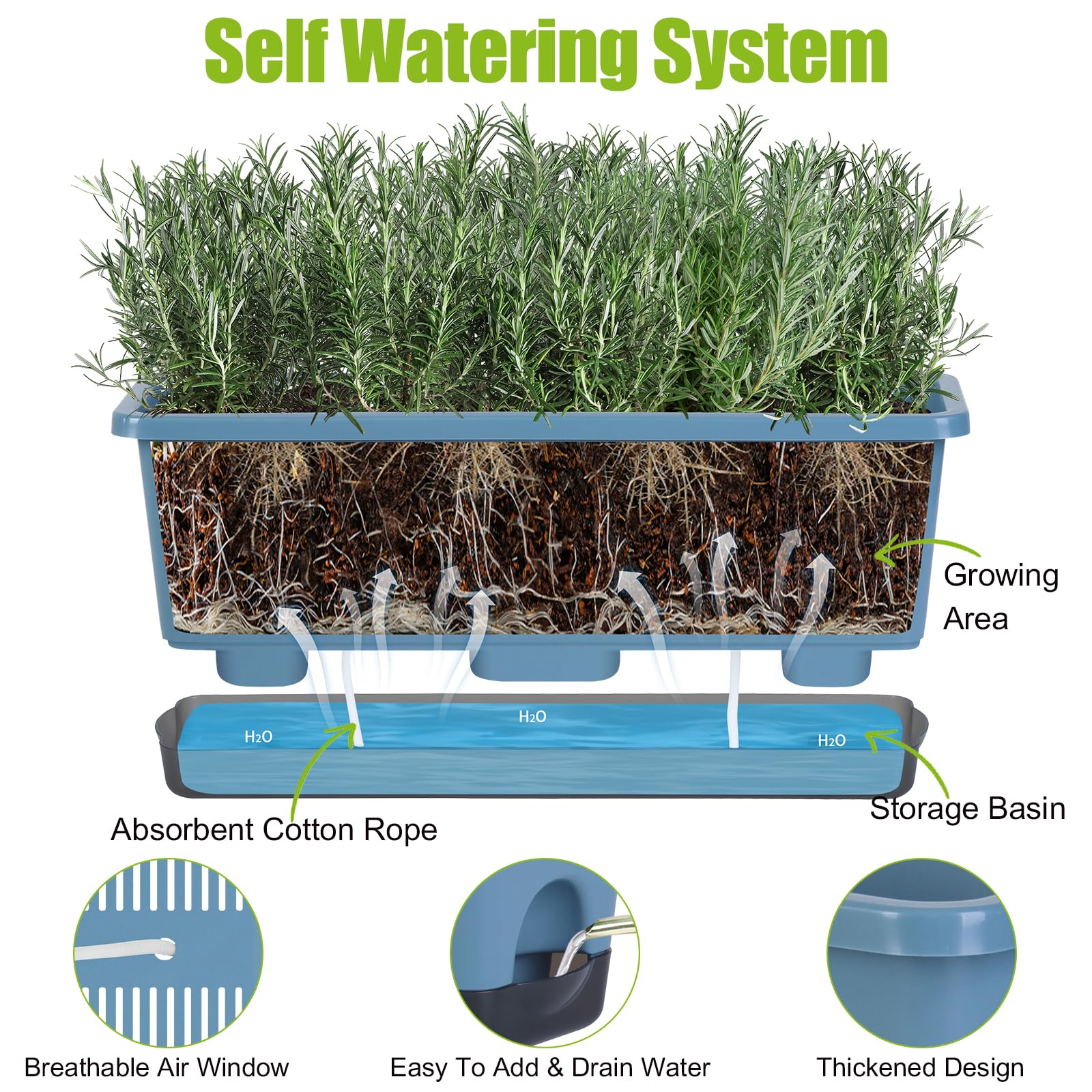 Oliz close-up of wick and reservoir demonstrating steady water delivery to plants