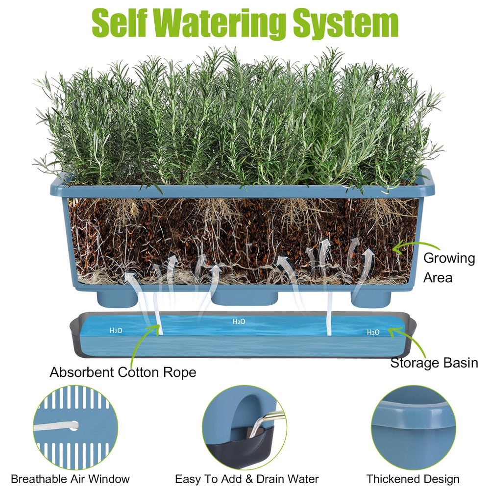 Oliz close-up of wick and reservoir demonstrating steady water delivery to plants