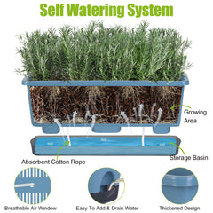 Oliz close-up of wick and reservoir demonstrating steady water delivery to plants