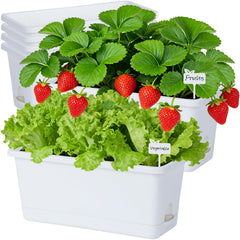 Oliz front view of six white rectangular planters showing clean minimalist look and space-saving benefit