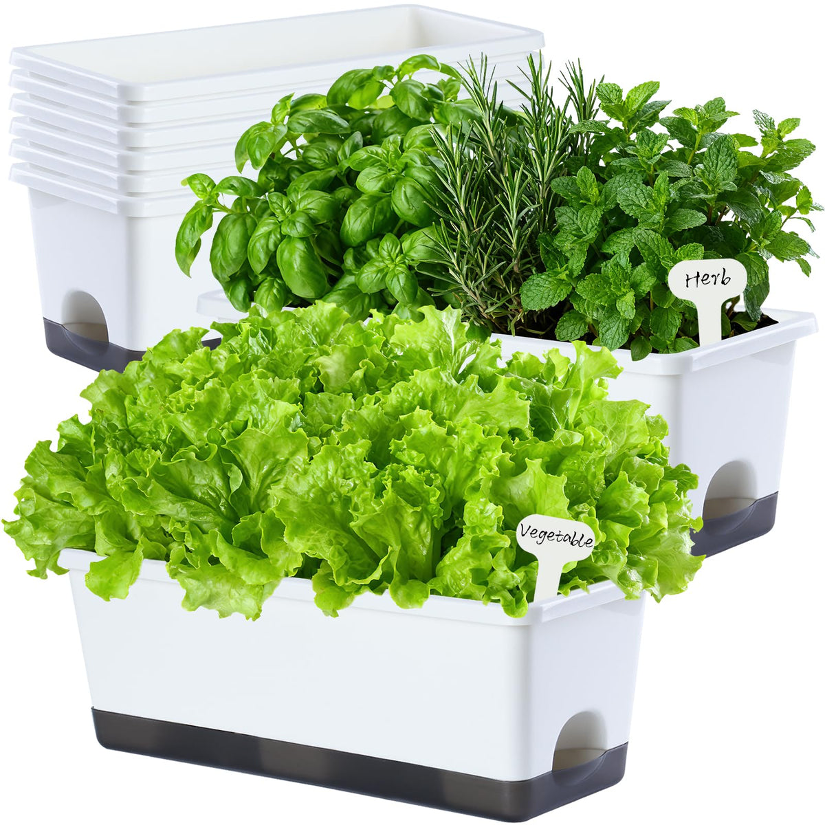 Oliz front view of 8-pack white window box planters showing clean design and organization