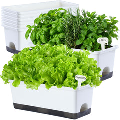Oliz front view of 8-pack white window box planters showing clean design and organization