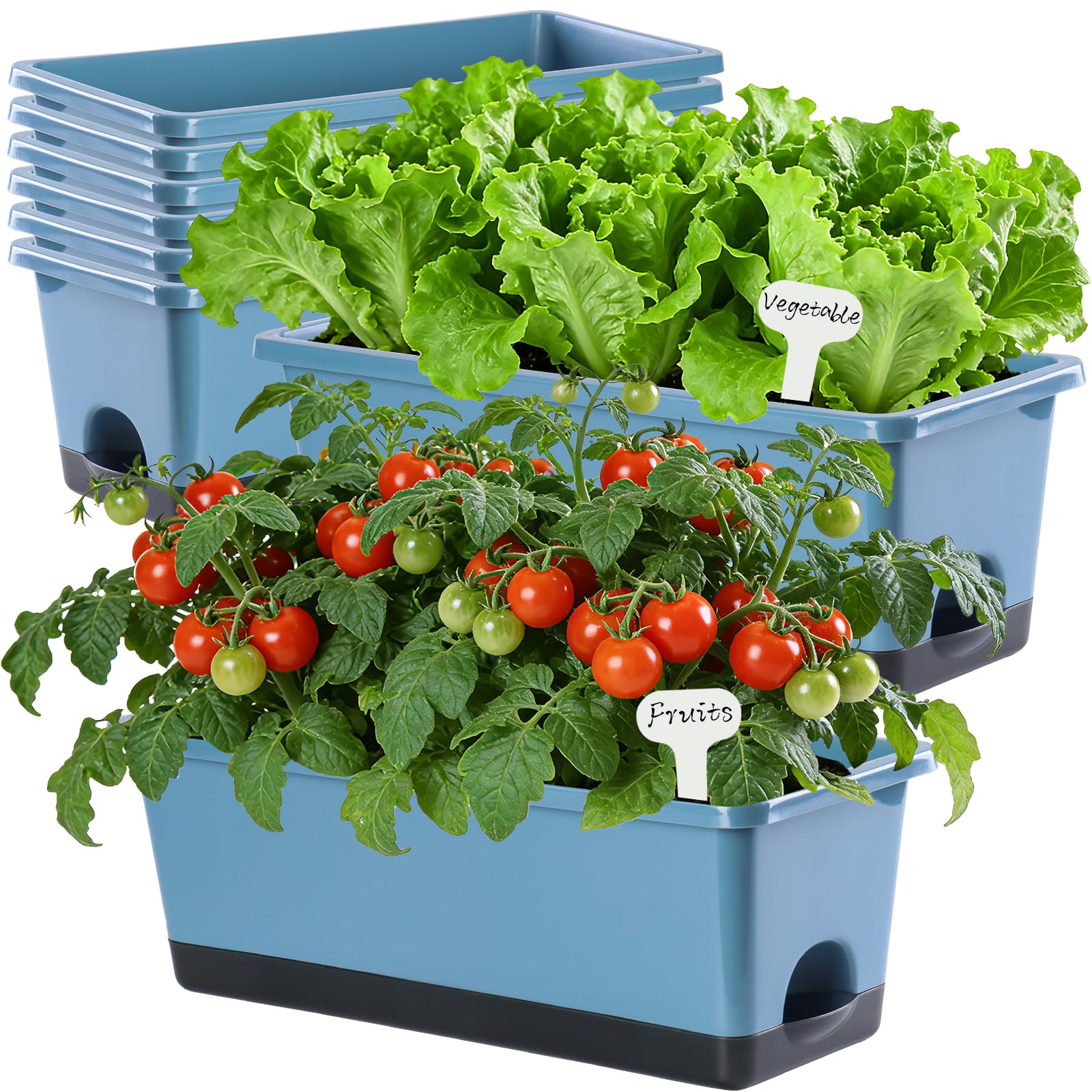 Oliz front view blue window box showing sleek rectangular planter and matching tray benefit tidy displays