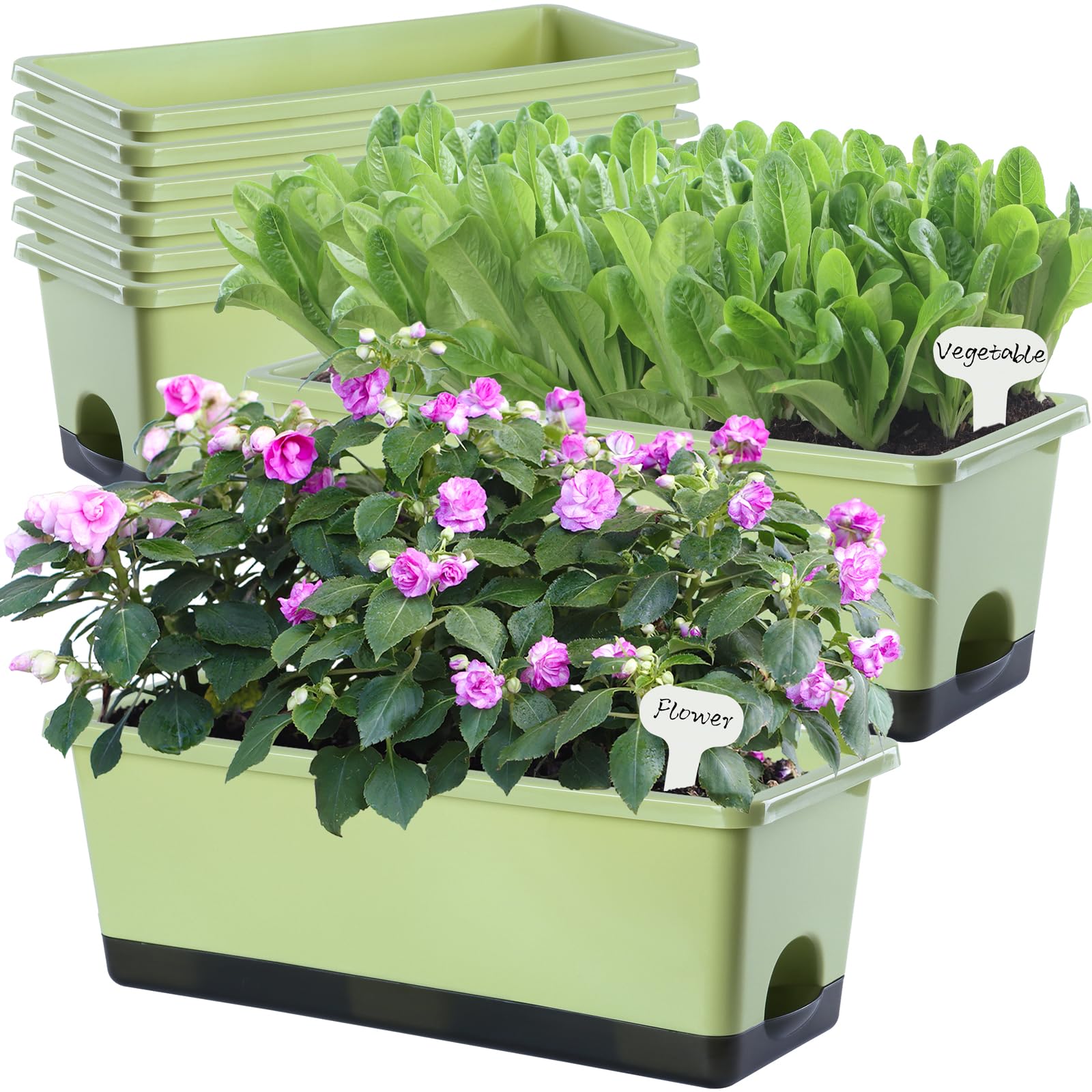 Oliz front view of light green window box planter showing sleek rectangle shape and color