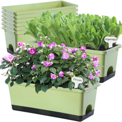 Oliz front view of light green window box planter showing sleek rectangle shape and color