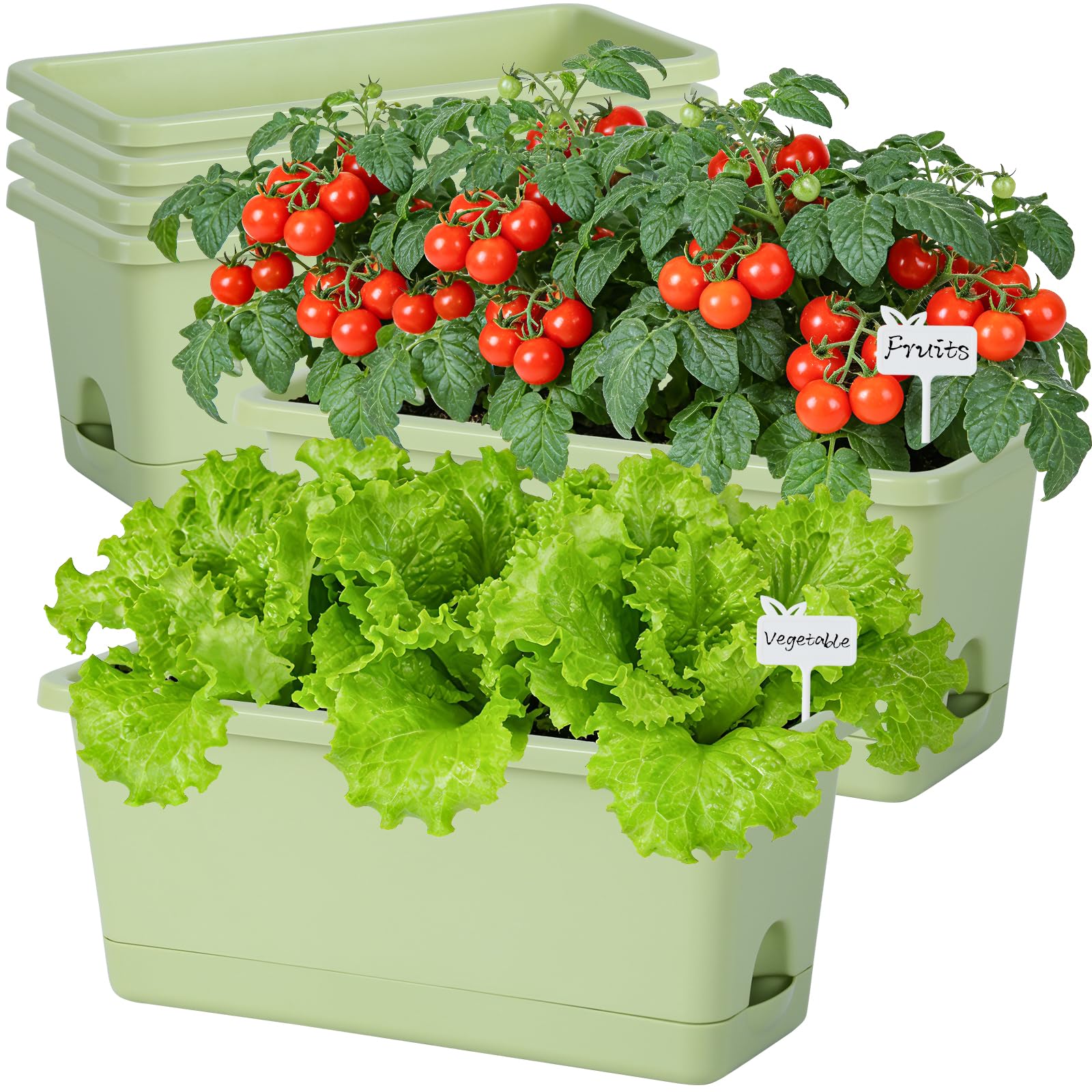 Oliz front view of six planters showing neat matching setup and easy care