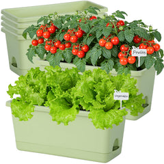 Oliz front view of six planters showing neat matching setup and easy care
