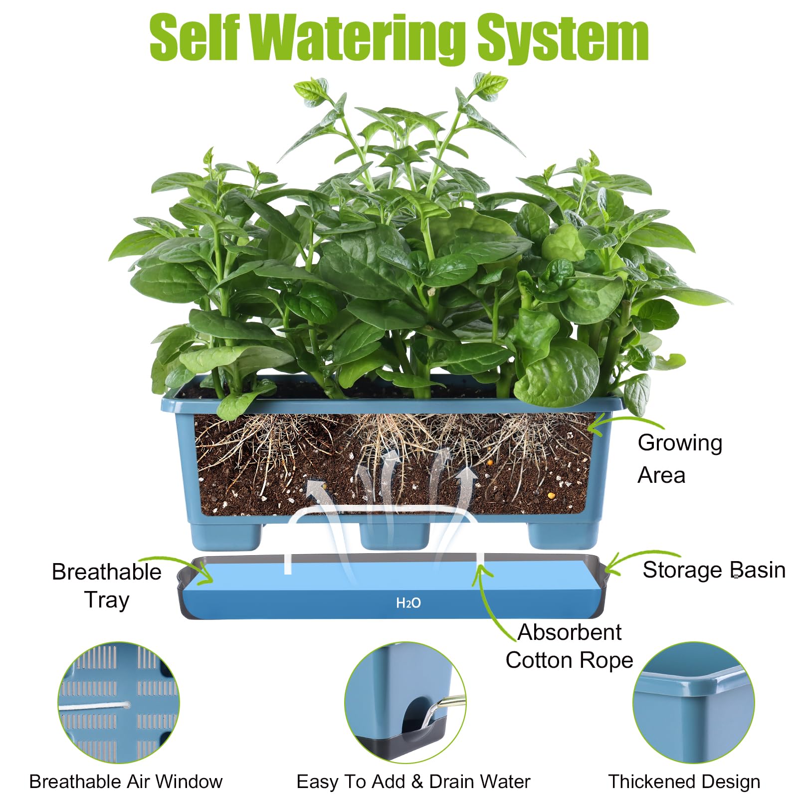 Oliz planted on a sunny windowsill demonstrating space-saving herb gardening and easy access