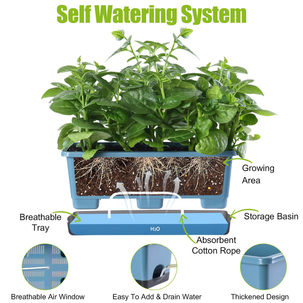 Oliz planted on a sunny windowsill demonstrating space-saving herb gardening and easy access
