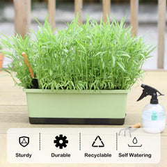 Oliz planter filled with herbs on windowsill illustrating space-saving indoor gardening